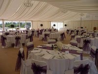 Posh Chair Covers and Bows   Hartlepool 1073685 Image 8